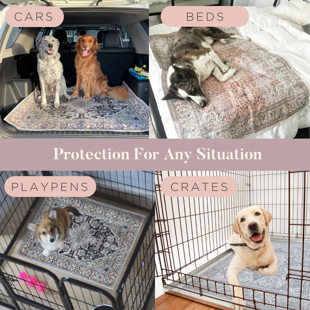 Lovewag Pets Washable Dog Pads - Set of 2, Eco-Friendly and Leak-Proof, Available in Multiple Designs: Sage Forest, Marmalade Sunshine, Moonlit Night, Rustic Terracotta, Sizes: 16" x 24", 36" x 48", 28" x 41" & Single Pack: Sage Forest 54" x 72