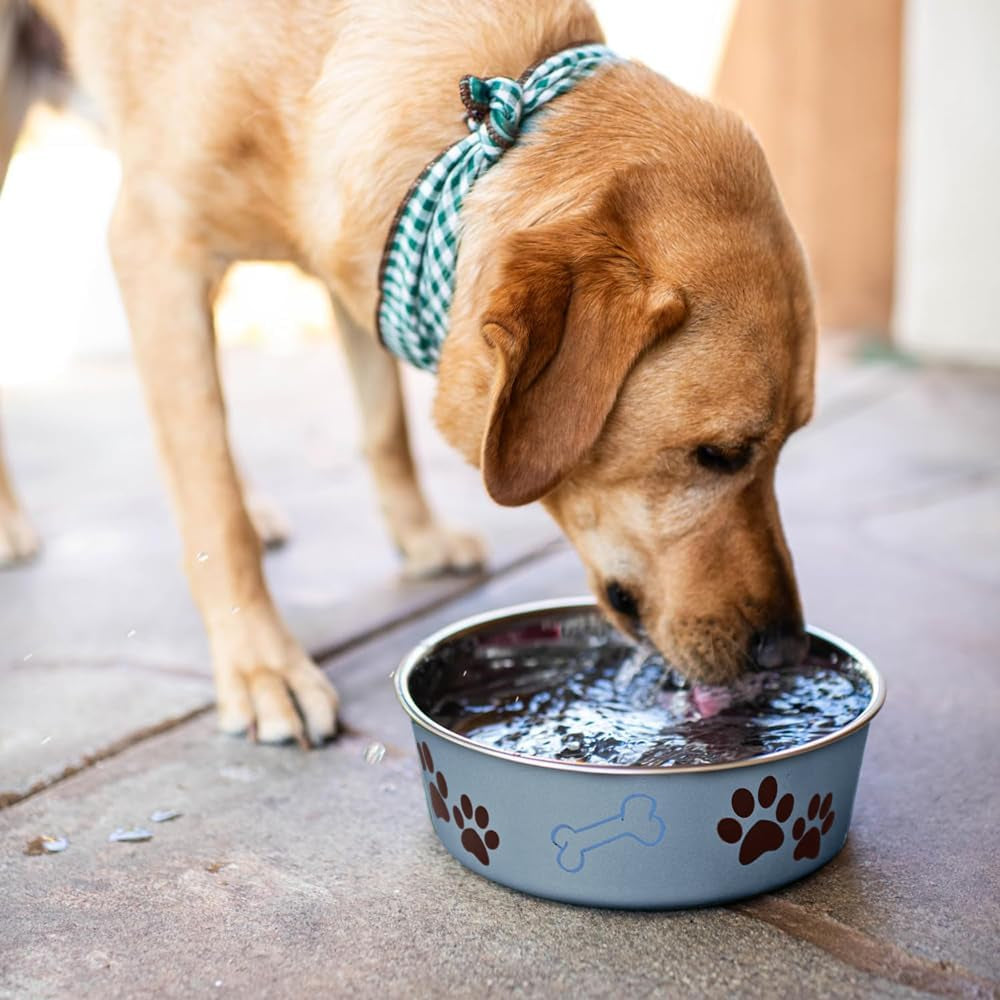 Bella Dog Bowls- Stainless Steel Dog & Cat Bowls - Spill Proof Dog Food Bowl, Cat Bowl, Puppy Essentials & Pet Supplies Great for Home & Travel (Medium 20-35 Lbs, Blueberry)