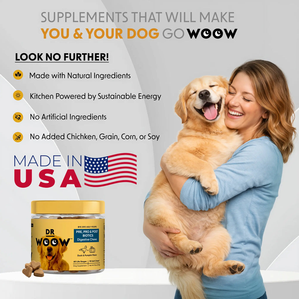 Pre-Pro-Postbiotic Chews for Dogs – Support for Gas, Bloating, and Digestive Health | Dr. WOOW Feeding