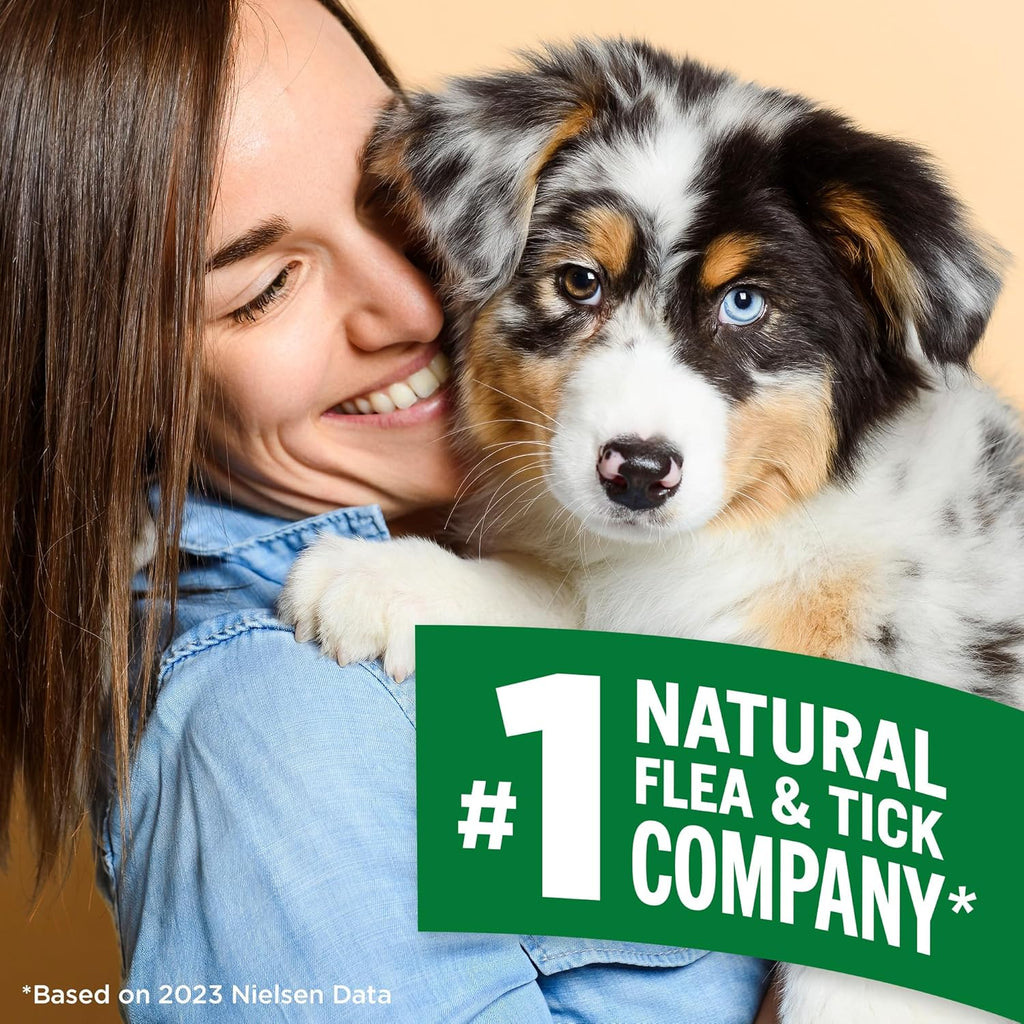 Indoor Flea & Tick Home Spray for Dogs, Plant-Based Spray, 32 Oz | Plant-Based Flea & Tick Spray, Kills Fleas, Eggs & Ticks on Contact, Natural Oils, for Indoor Home Use, Made in USA