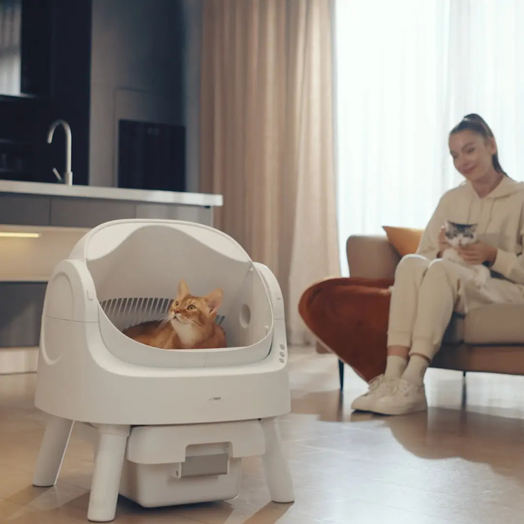 Petpivot Automatic Self-Cleaning Cat Litter Box with Open-Top Design - Hands-Free Operation, 6.5L/1.72Gal and 7L/1.85Gal Capacity, Includes 60 Bonus Waste Bags (80 Total)