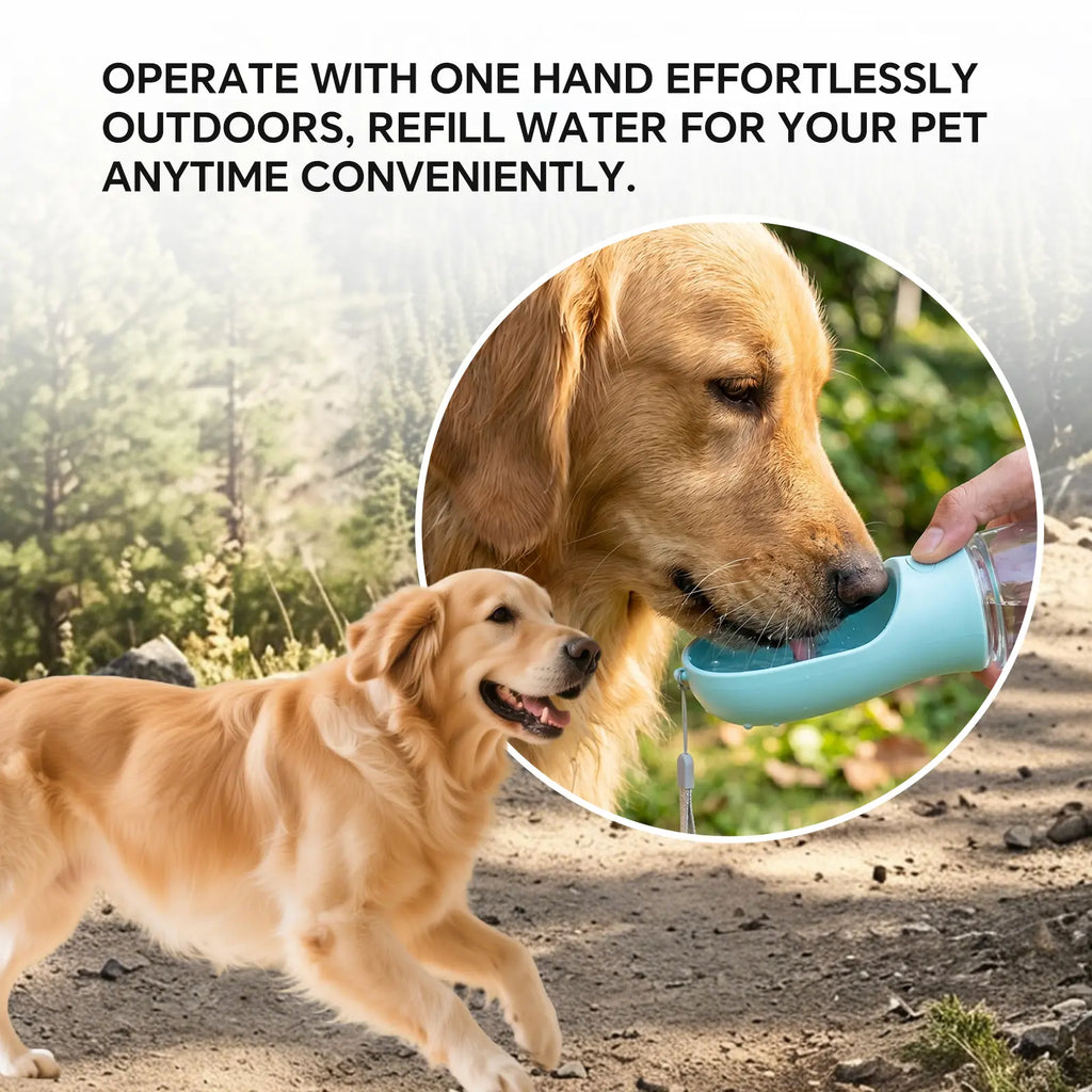 Portable 3-in-1 Dog Water Bottle with Food Container and Built-In Poop Bag Dispenser, Includes 30 Waste Bags - Leak-Proof Travel Cup for Walking and Hiking (29cm x 7.5cm)
