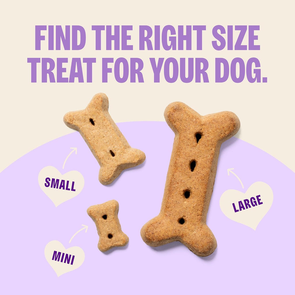 Wellness Classic P-Nuttier Dog Biscuits - Natural Peanut Butter Training Treats, Large Size, 6 lb Box