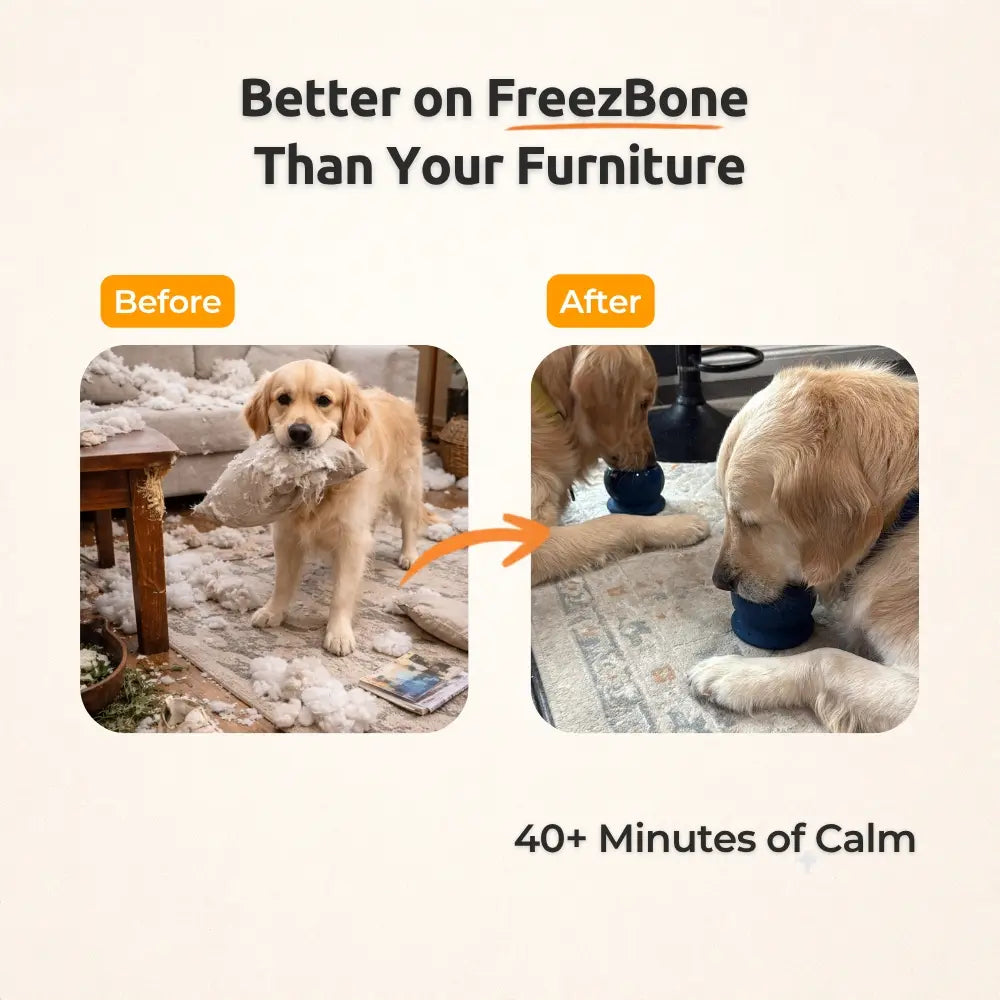Freezball - Premium Durable Fillable Dog Chew Bone