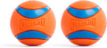 Medium Bouncy Fetch Balls for Dogs (20-60 lbs) - Durable Rubber Floating Toy - 2.5-Inch Diameter - Pack of 2 for Active Outdoor Play
