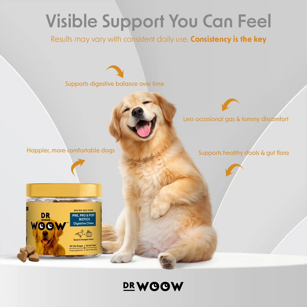 Pre-Pro-Postbiotic Chews for Dogs – Support for Gas, Bloating, and Digestive Health | Dr. WOOW Feeding