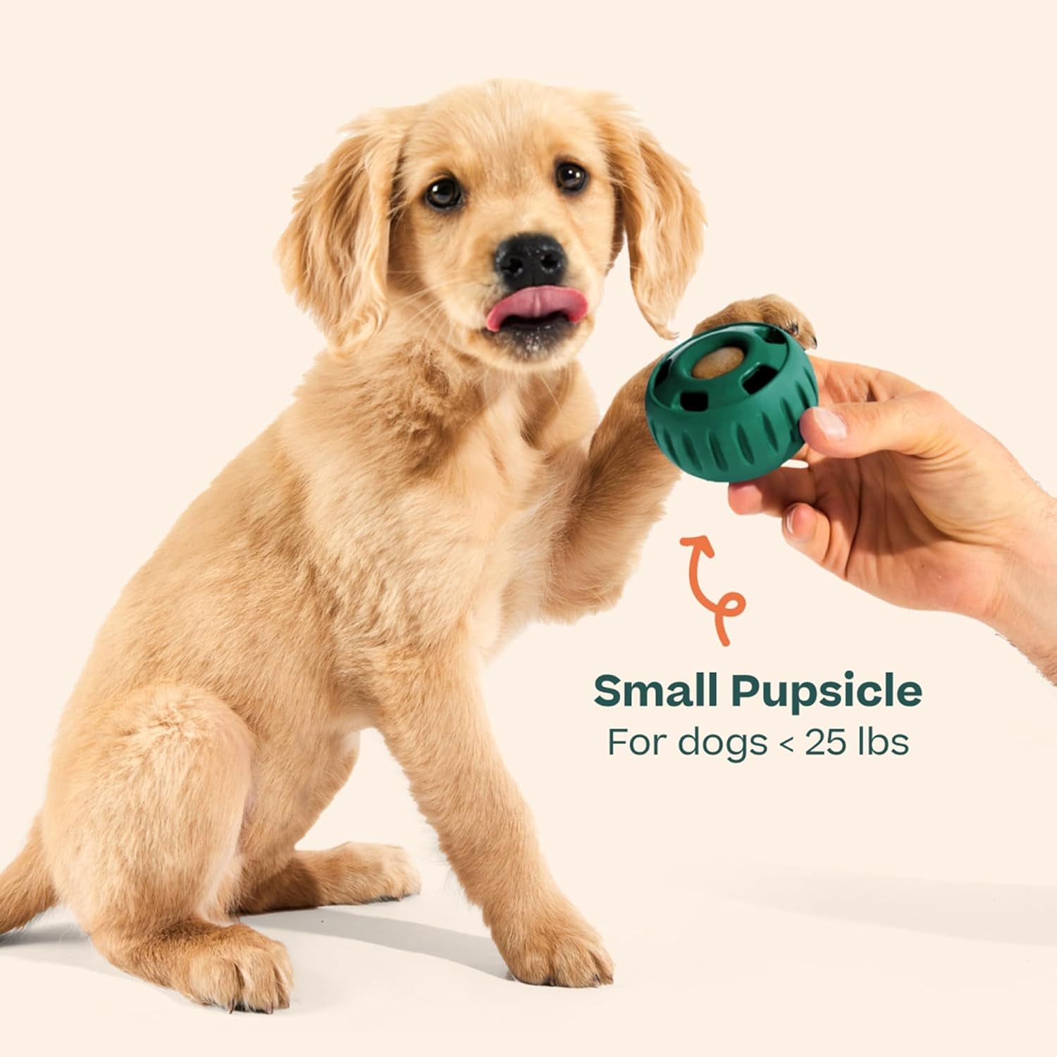 Pupsicle Interactive Dog Ball Toy for Dogs 25-75 Lbs - Green | Long-Lasting Enrichment Toy for Medium/Large Dogs, Easy-Fill Design, Low-Mess Play, Made of Natural Rubber, Easy to Clean