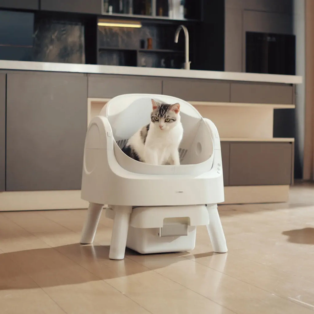 Petpivot Automatic Self-Cleaning Cat Litter Box with Open-Top Design - Hands-Free Operation, 6.5L/1.72Gal and 7L/1.85Gal Capacity, Includes 60 Bonus Waste Bags (80 Total)