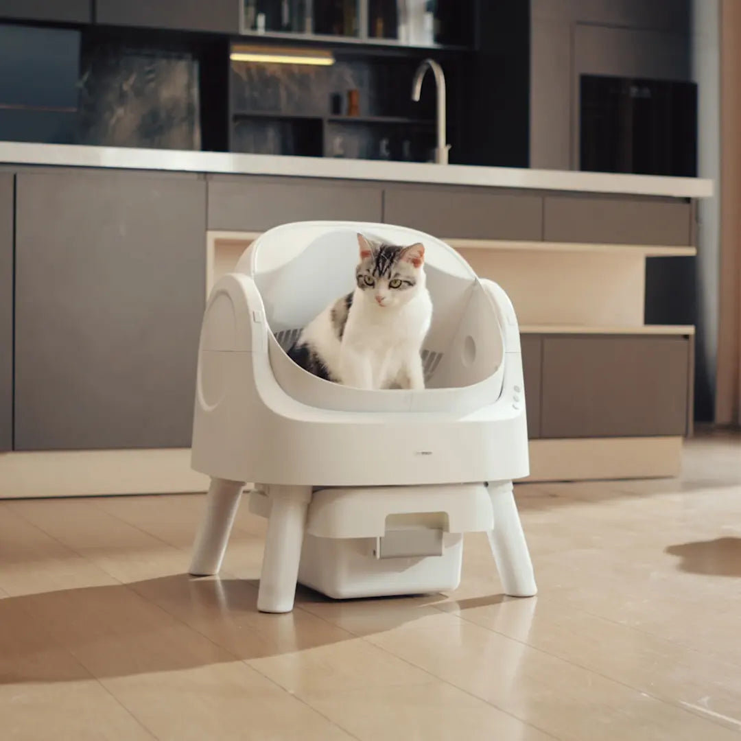 Petpivot Automatic Self-Cleaning Cat Litter Box with Open-Top Design - Hands-Free Operation, 6.5L/1.72Gal and 7L/1.85Gal Capacity, Includes 60 Bonus Waste Bags (80 Total)