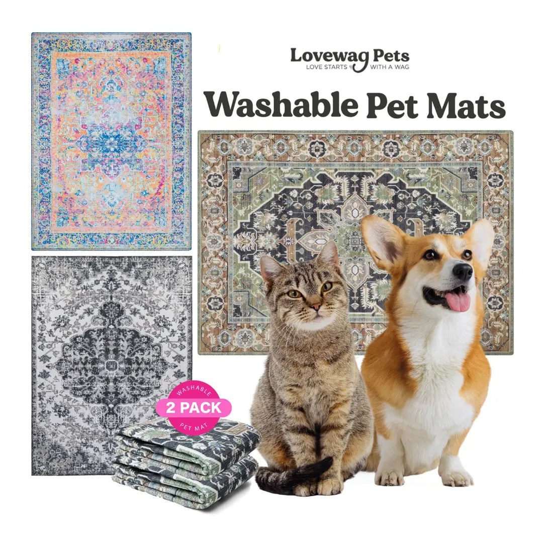 Lovewag Pets Washable Dog Pads - Set of 2, Eco-Friendly and Leak-Proof, Available in Multiple Designs: Sage Forest, Marmalade Sunshine, Moonlit Night, Rustic Terracotta, Sizes: 16" x 24", 36" x 48", 28" x 41" & Single Pack: Sage Forest 54" x 72