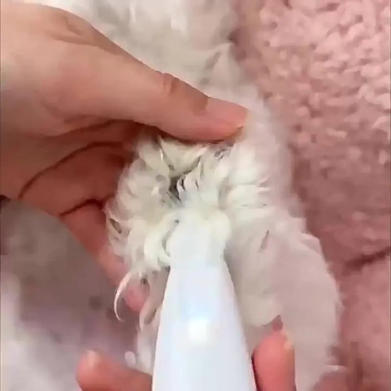 Rechargeable Pet Hair Trimmer Kit with LED Light - Cordless, Quiet Grooming Clippers for Dogs and Cats, Waterproof and Low Noise Pet Shaver