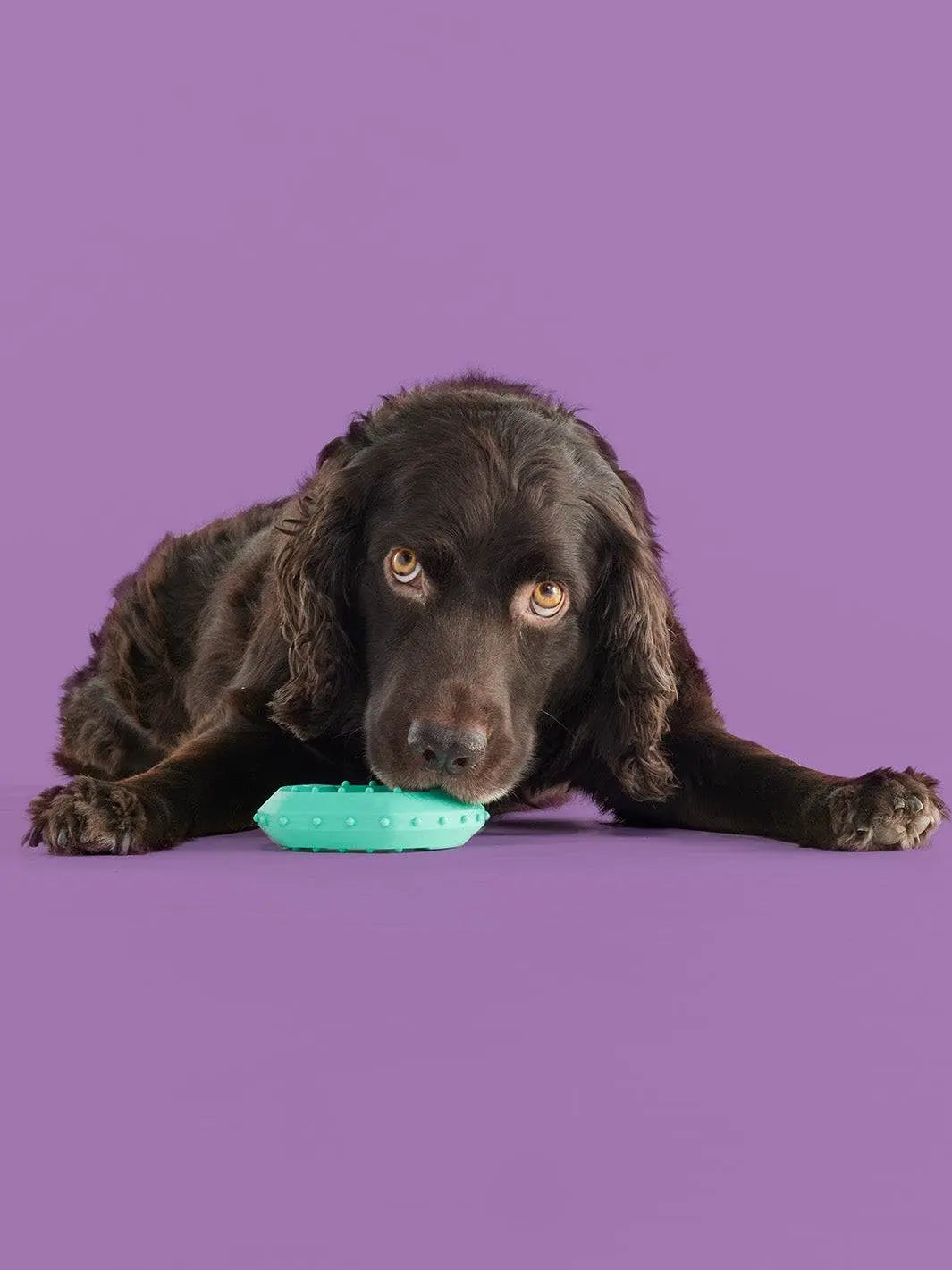 Yomp Chillchew Freezable Dog Toy - Cooling Chew Toy for Soft and Medium Chewers, Ideal for Frozen Treats and Teething, Crafted from Pet-Safe Non-Toxic Silicone