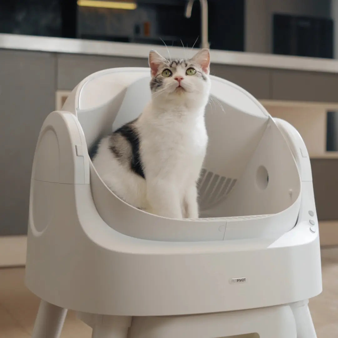 Petpivot Automatic Self-Cleaning Cat Litter Box with Open-Top Design - Hands-Free Operation, 6.5L/1.72Gal and 7L/1.85Gal Capacity, Includes 60 Bonus Waste Bags (80 Total)