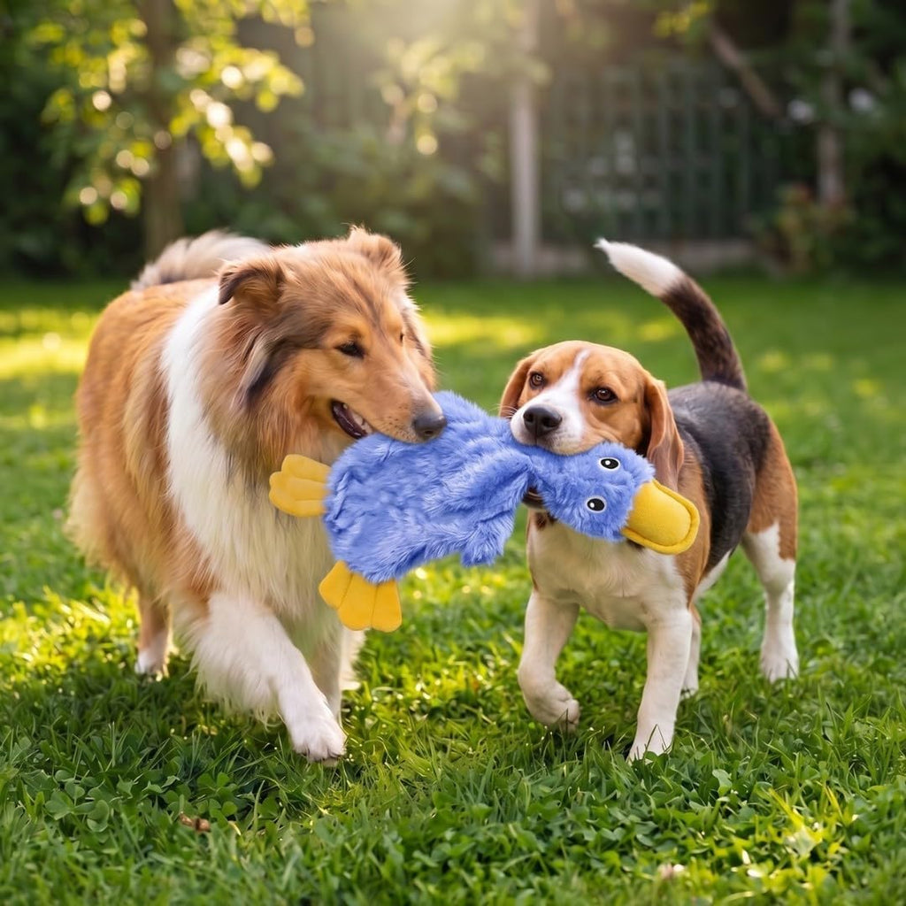 Interactive Squeaky Dog Chew Toy, Ideal Dog Toys for Chewers, Small, Medium & Large Dogs, and Fetch Lovers - Crinkle Duck (Blue), Large