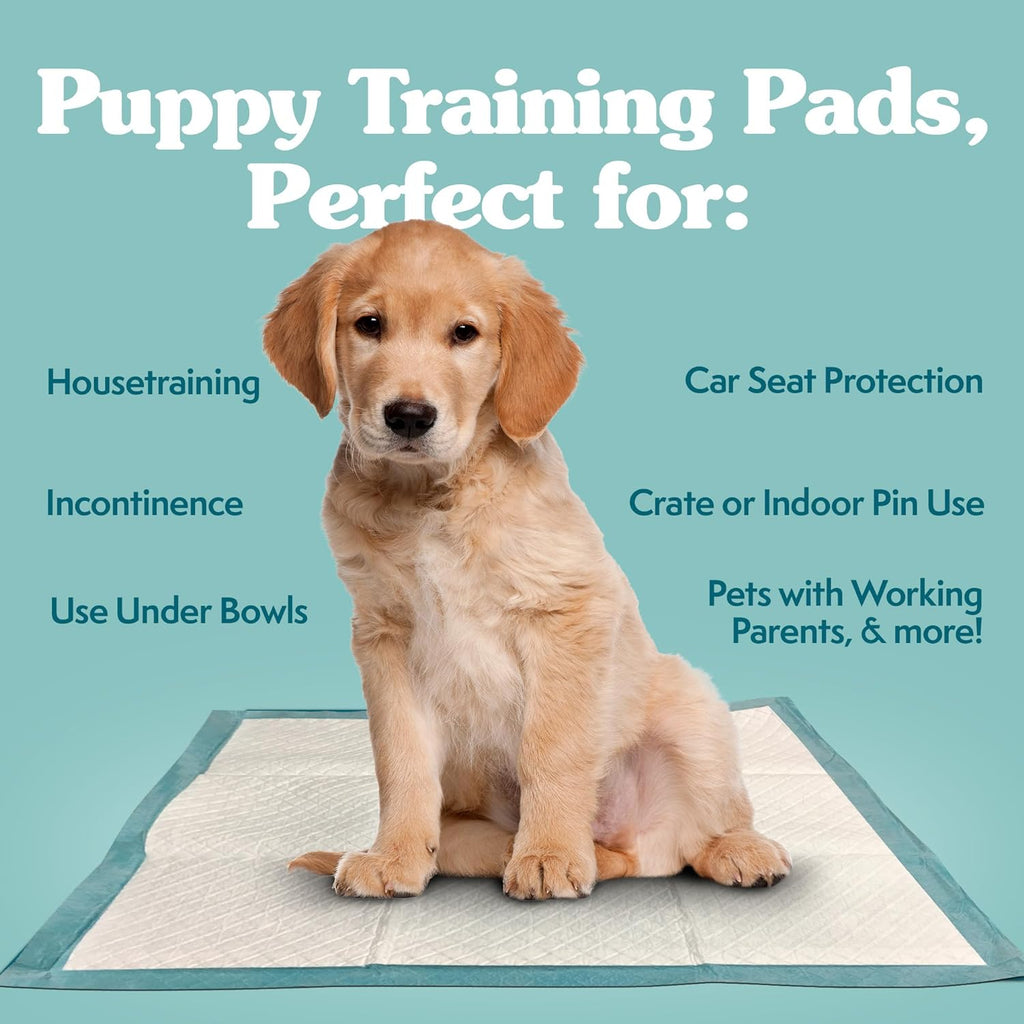 Extra Large Leak-Proof Dog Training Pads, 28" x 30", 100 Count | Disposable Puppy Potty Pads for Housebreaking and Indoor Use, Floor Protection Essentials