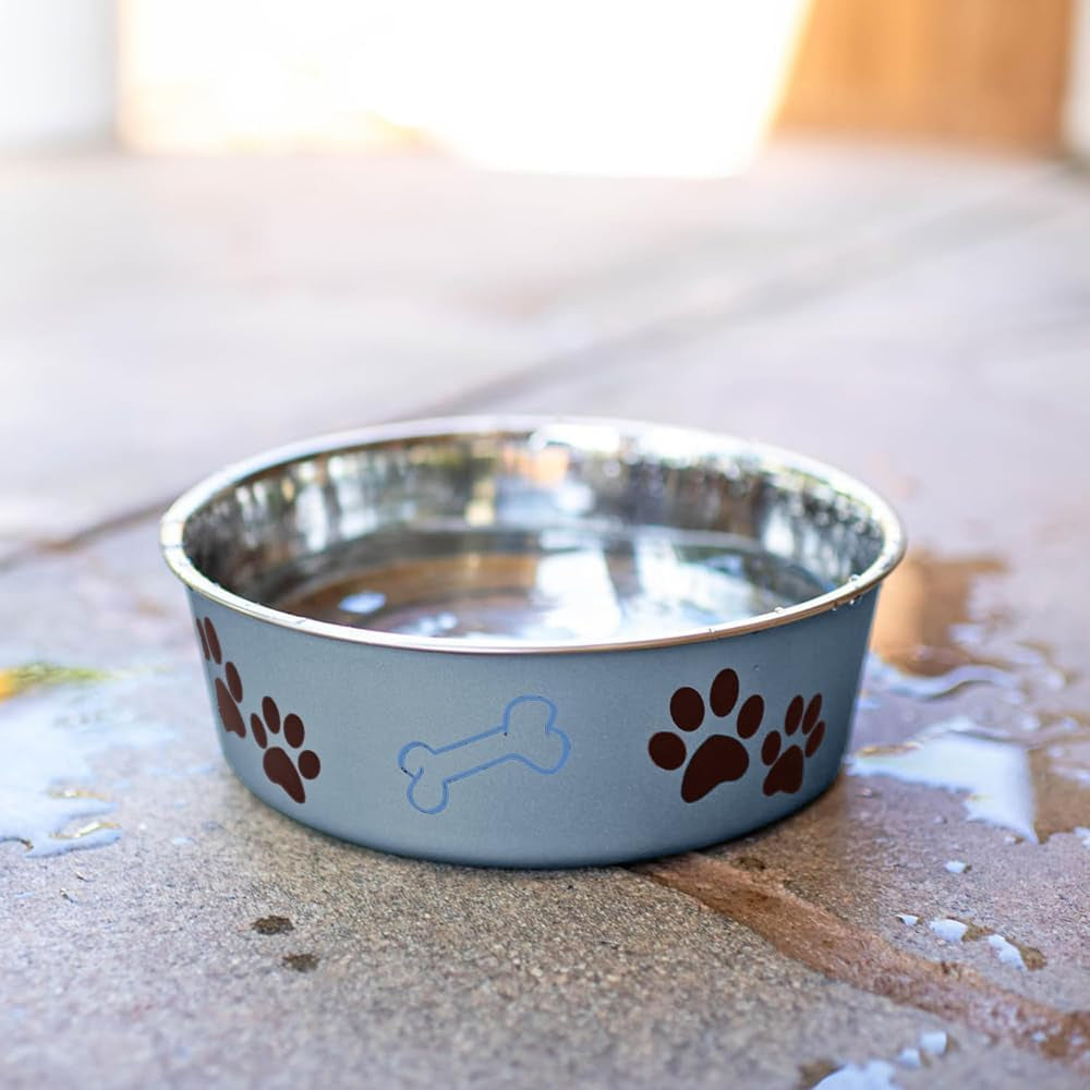 Bella Dog Bowls- Stainless Steel Dog & Cat Bowls - Spill Proof Dog Food Bowl, Cat Bowl, Puppy Essentials & Pet Supplies Great for Home & Travel (Medium 20-35 Lbs, Blueberry)