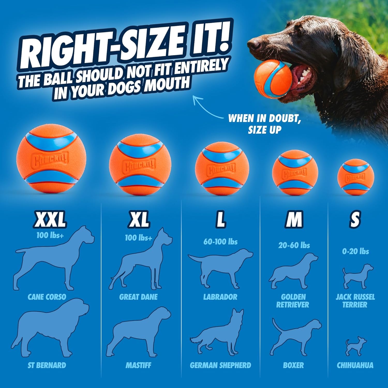 Ultra Ball Dog Toy - Medium Bouncy Fetch Balls for Dogs 20-60 Lbs - Made from Durable Rubber - Floating Water Pet Toys - Size Medium - 2.5-Inch Diameter - Pack of 4