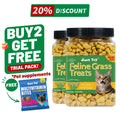 Cat Treats for Indoor Cats - Natural Salmon Hairball Control Biscuits with Cat Grass and Catnip for Dental Care - 14.1 OZ