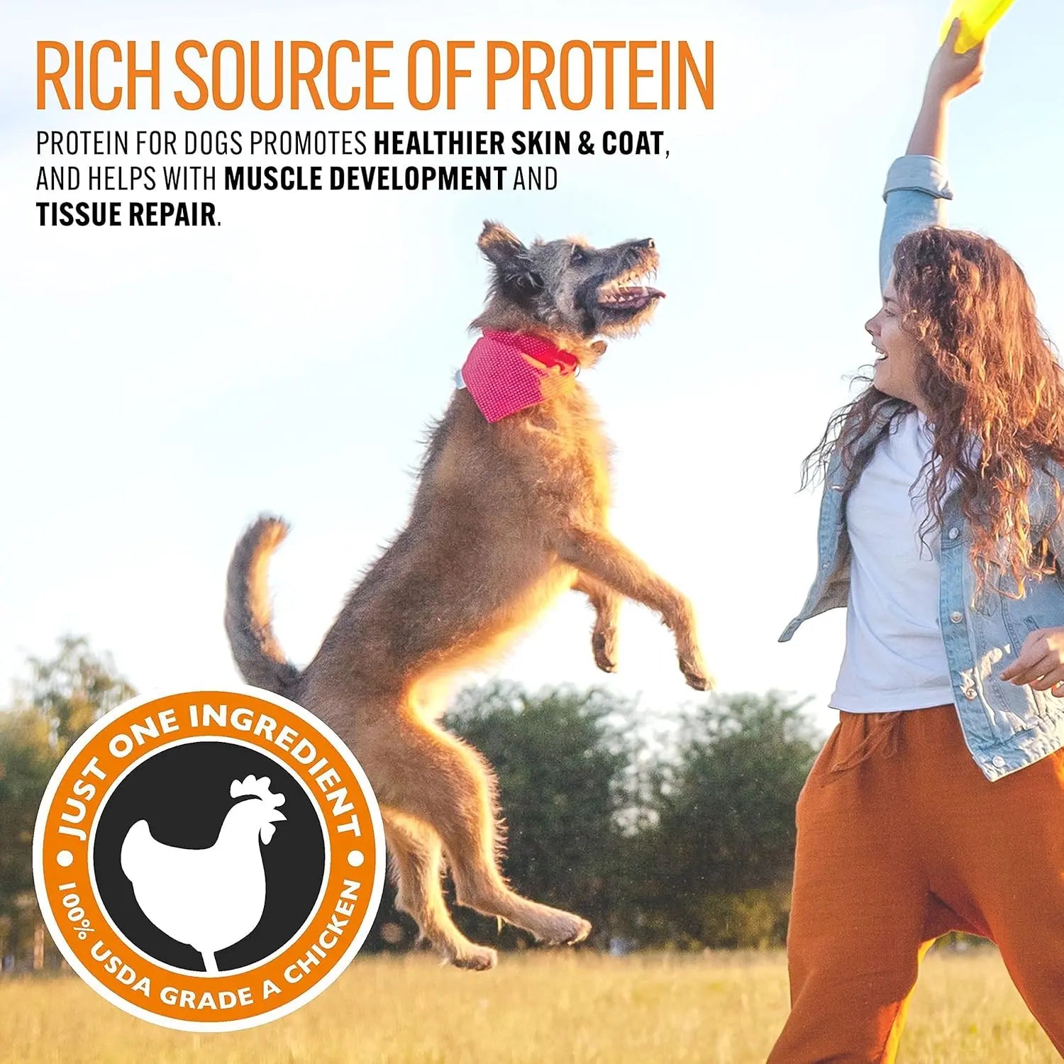 Emmy's Best EBPP Natural Chicken Jerky Dog Treats - Made in the USA with Real Grilled Chicken - Suitable for Medium, Large, and Small Dogs - 100% Natural Formula