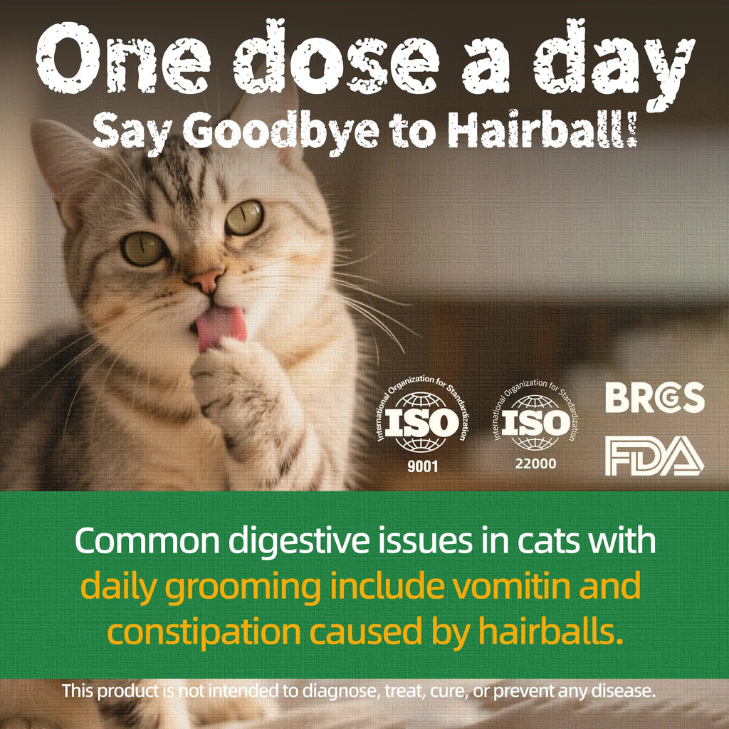 Cat Treats for Indoor Cats - Natural Salmon Hairball Control Biscuits with Cat Grass and Catnip for Dental Care - 14.1 OZ