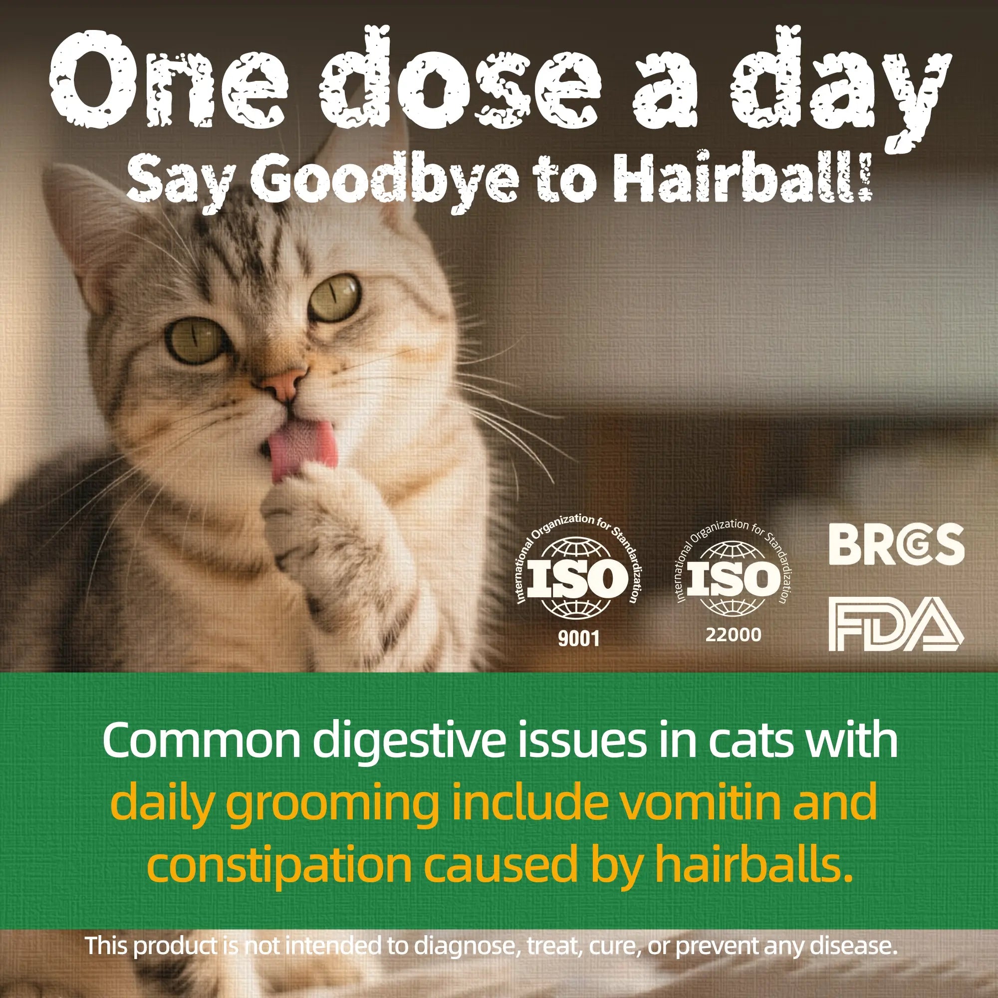 Cat Treats for Indoor Cats - Natural Salmon Hairball Control Biscuits with Cat Grass and Catnip for Dental Care - 14.1 OZ