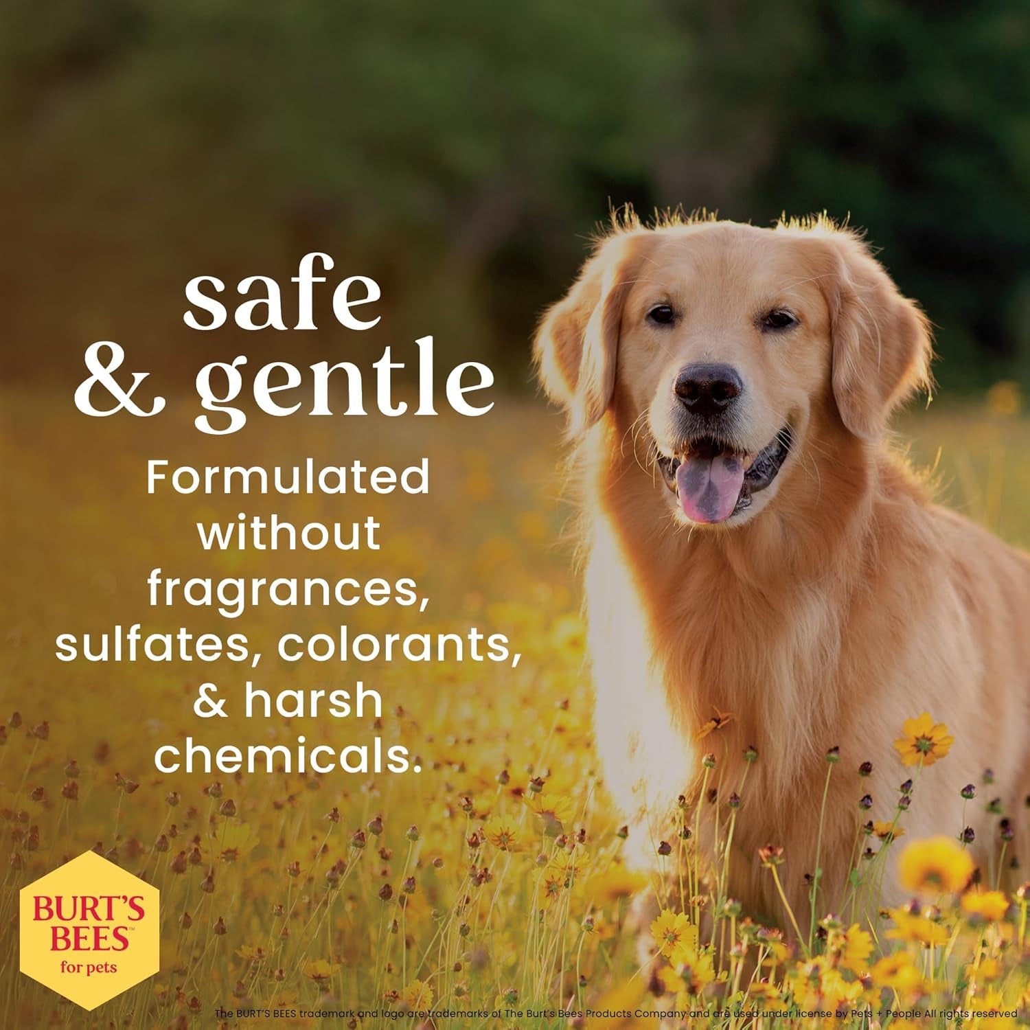 Honey Multipurpose Dog Grooming Wipes - Gentle Hypoallergenic Spot Cleaning Sheets with pH Balanced Natural Formula for Paws, Face, and Butt, 50 Count