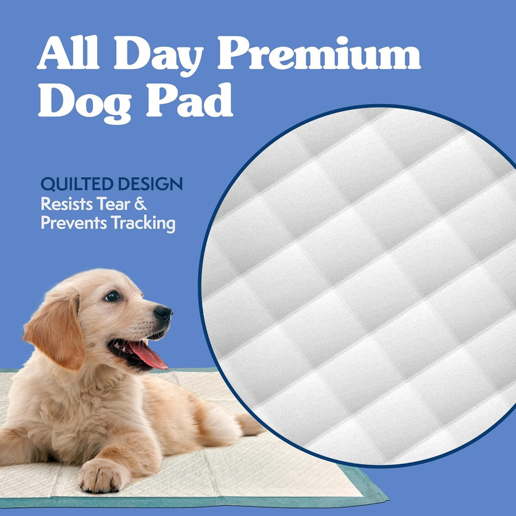 Extra Large Leak-Proof Dog Training Pads, 28" x 30", 100 Count | Disposable Puppy Potty Pads for Housebreaking and Indoor Use, Floor Protection Essentials