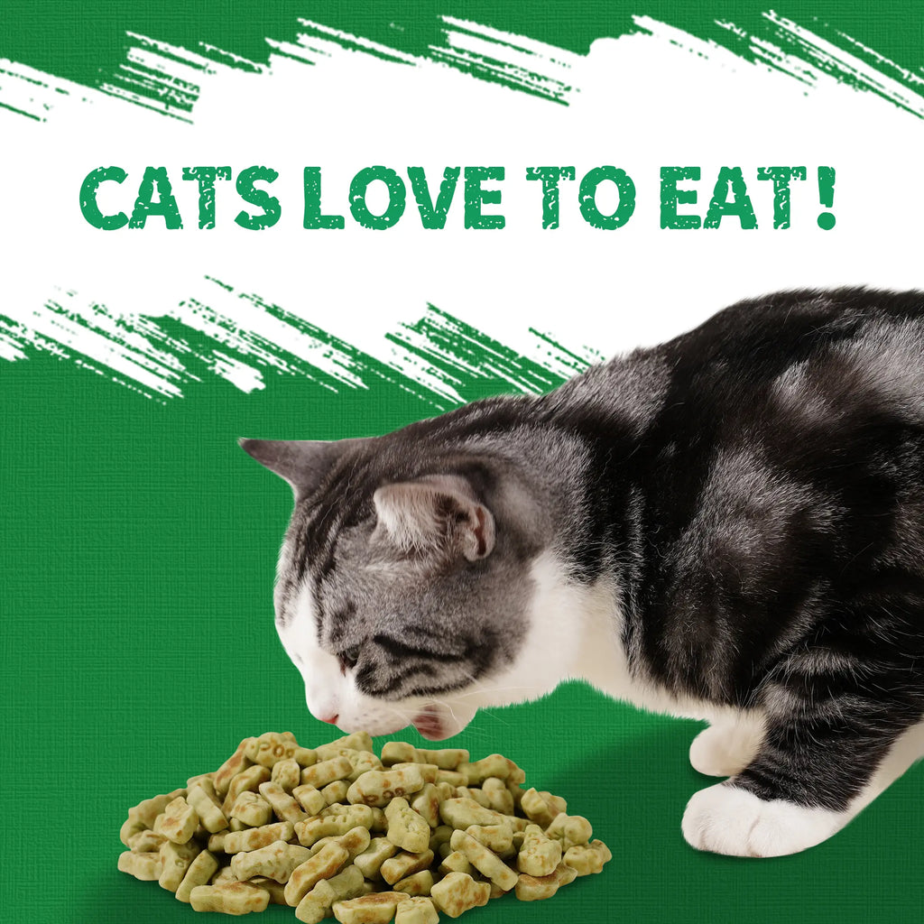 Cat Treats for Indoor Cats - Natural Salmon Hairball Control Biscuits with Cat Grass and Catnip for Dental Care - 14.1 OZ