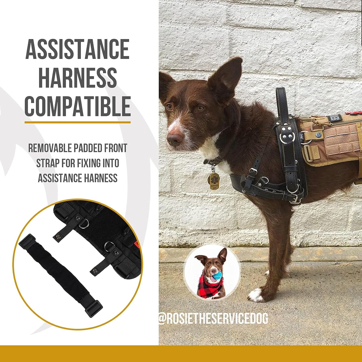 Adjustable No-Pull Service Dog Harness - Comfortable Vest for Medium Dogs - Black Outdoor Walking Gear