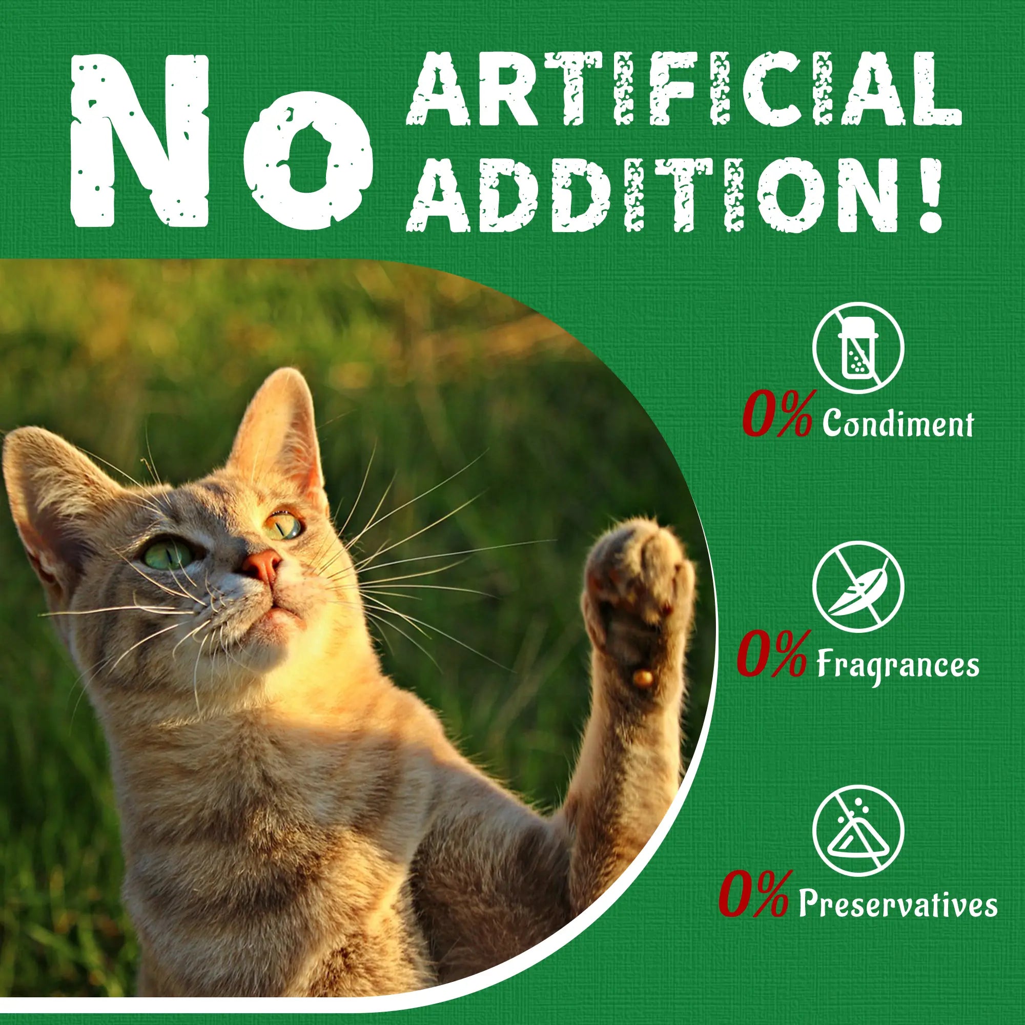 Cat Treats for Indoor Cats - Natural Salmon Hairball Control Biscuits with Cat Grass and Catnip for Dental Care - 14.1 OZ
