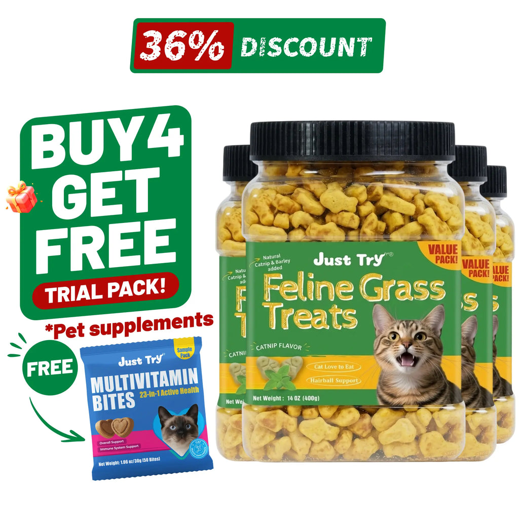 Cat Treats for Indoor Cats - Natural Salmon Hairball Control Biscuits with Cat Grass and Catnip for Dental Care - 14.1 OZ