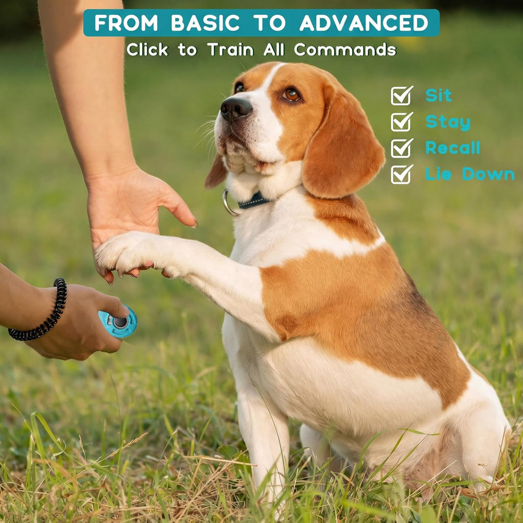 Professional Dog Training Clicker with Wrist Strap and Keyring - Versatile Training Tool for Dogs, Cats, Birds, and Other Pets