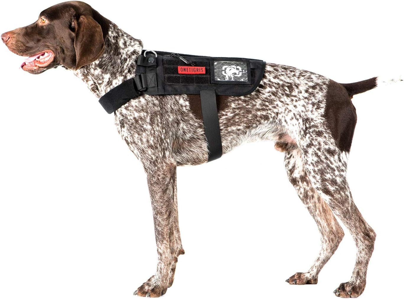 Adjustable No-Pull Service Dog Harness - Comfortable Vest for Medium Dogs - Black Outdoor Walking Gear
