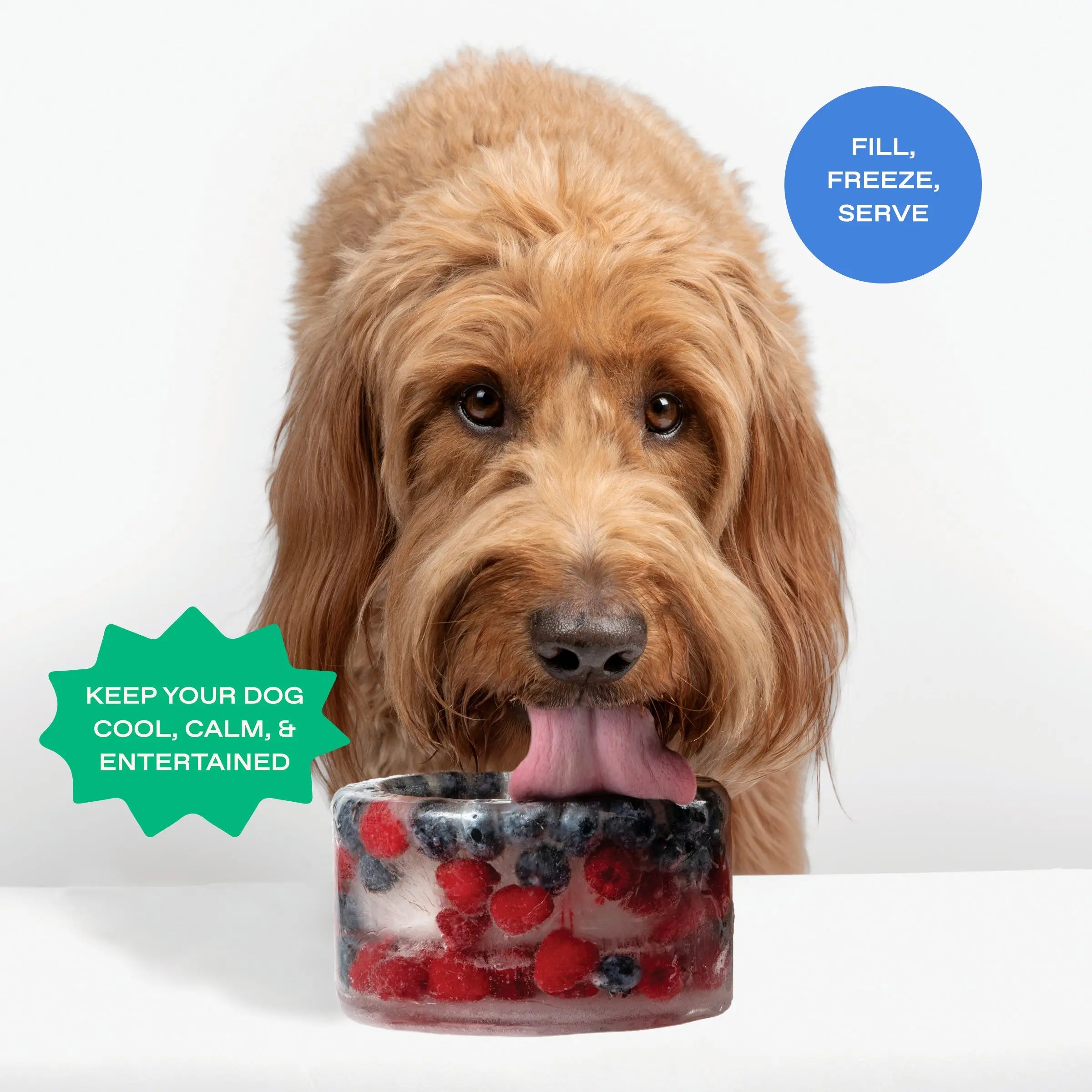 Customizable Frozen Dog Treat Bowl