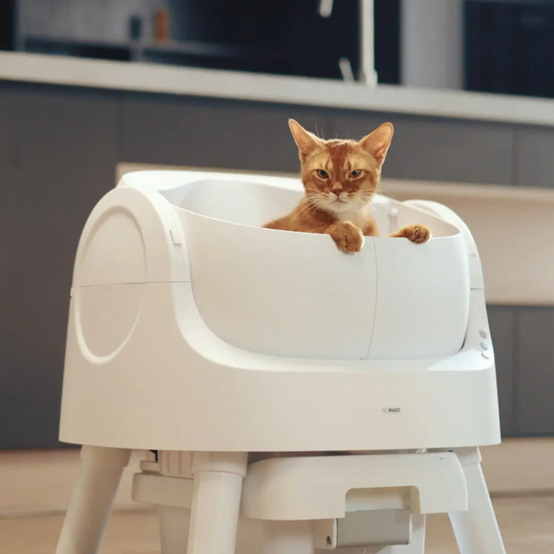 Petpivot Automatic Self-Cleaning Cat Litter Box with Open-Top Design - Hands-Free Operation, 6.5L/1.72Gal and 7L/1.85Gal Capacity, Includes 60 Bonus Waste Bags (80 Total)