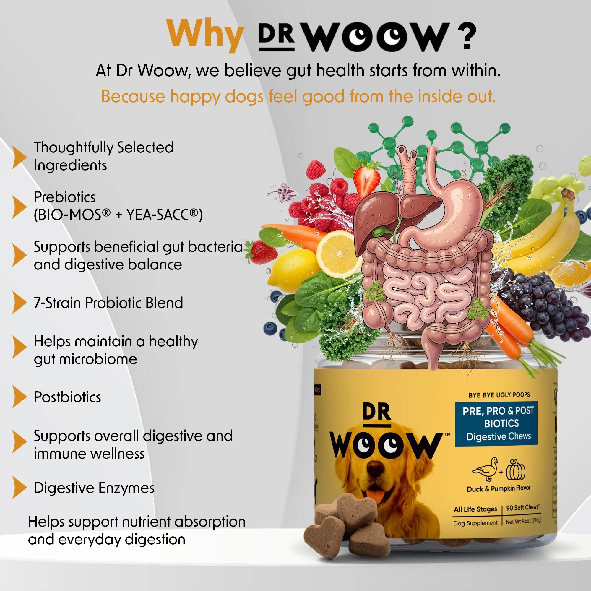 Pre-Pro-Postbiotic Chews for Dogs – Support for Gas, Bloating, and Digestive Health | Dr. WOOW Feeding