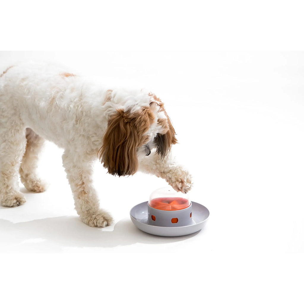 UFO Interactive Push Button Food Dispensing Bowl for Dogs and Puppies - Engaging Slow Feeding Puzzle Feeder