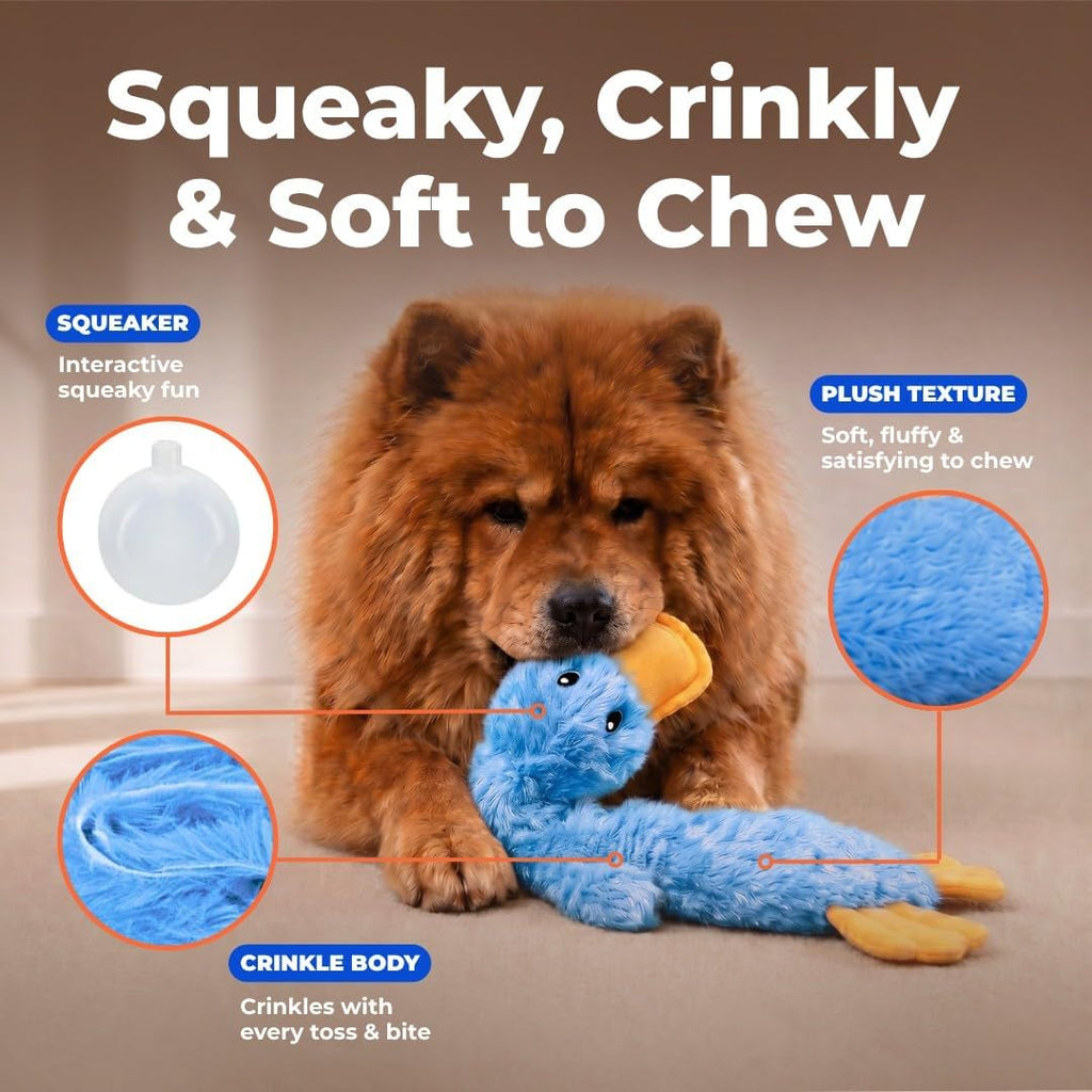 Interactive Squeaky Dog Chew Toy, Ideal Dog Toys for Chewers, Small, Medium & Large Dogs, and Fetch Lovers - Crinkle Duck (Blue), Large
