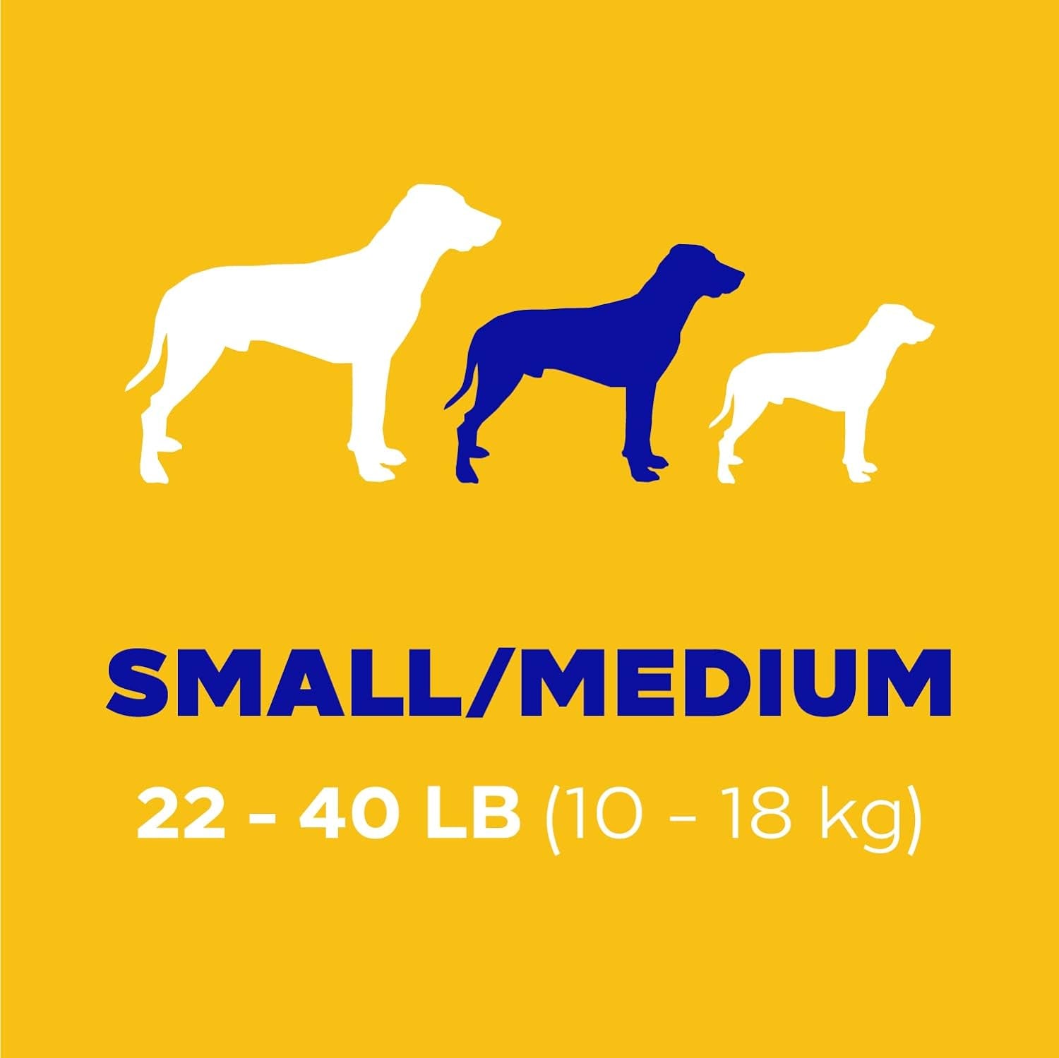 Pedigree DENTASTIX Original Flavor Dental Treats for Small to Medium Dogs, 5.57 Oz Pack, Set of 7 (70 Total Treats)