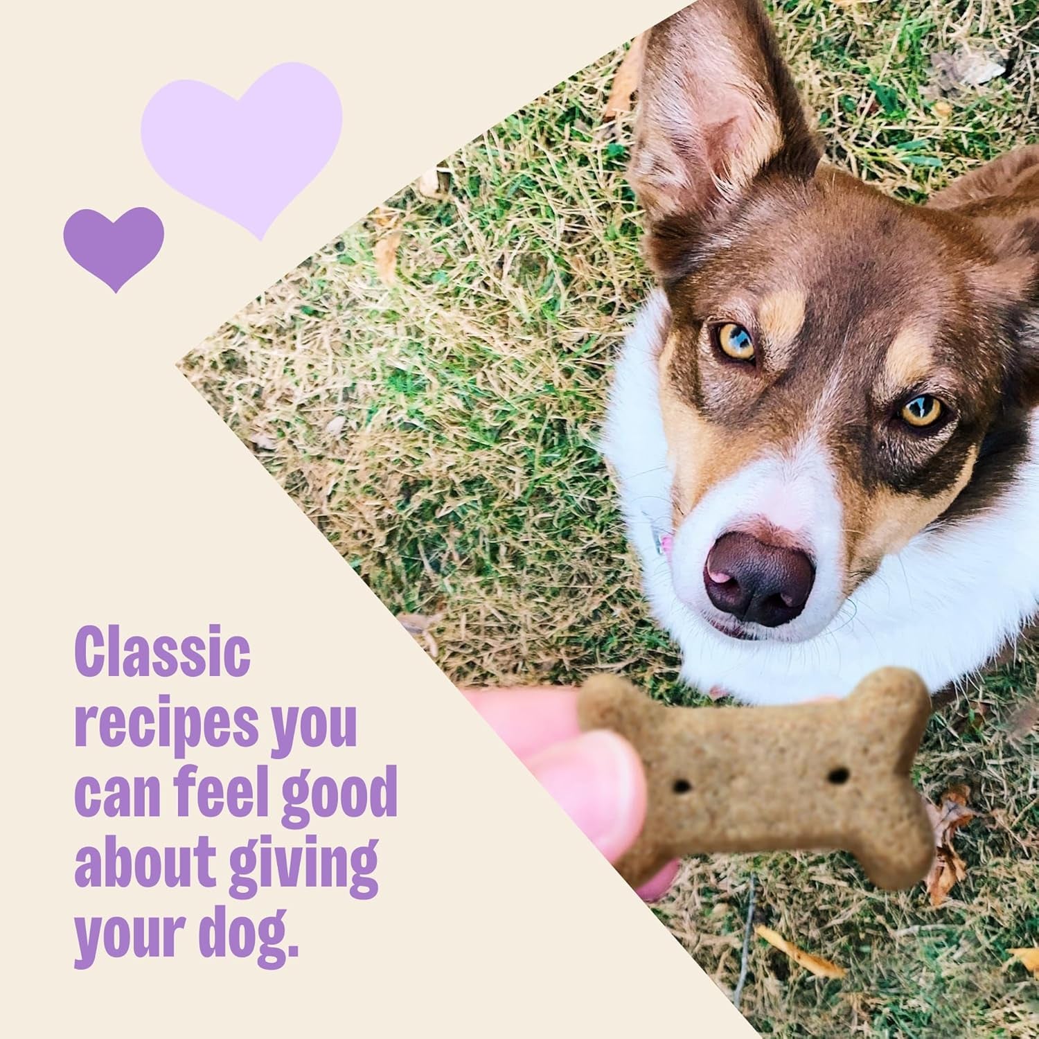 Wellness Classic P-Nuttier Dog Biscuits - Natural Peanut Butter Training Treats, Large Size, 6 lb Box