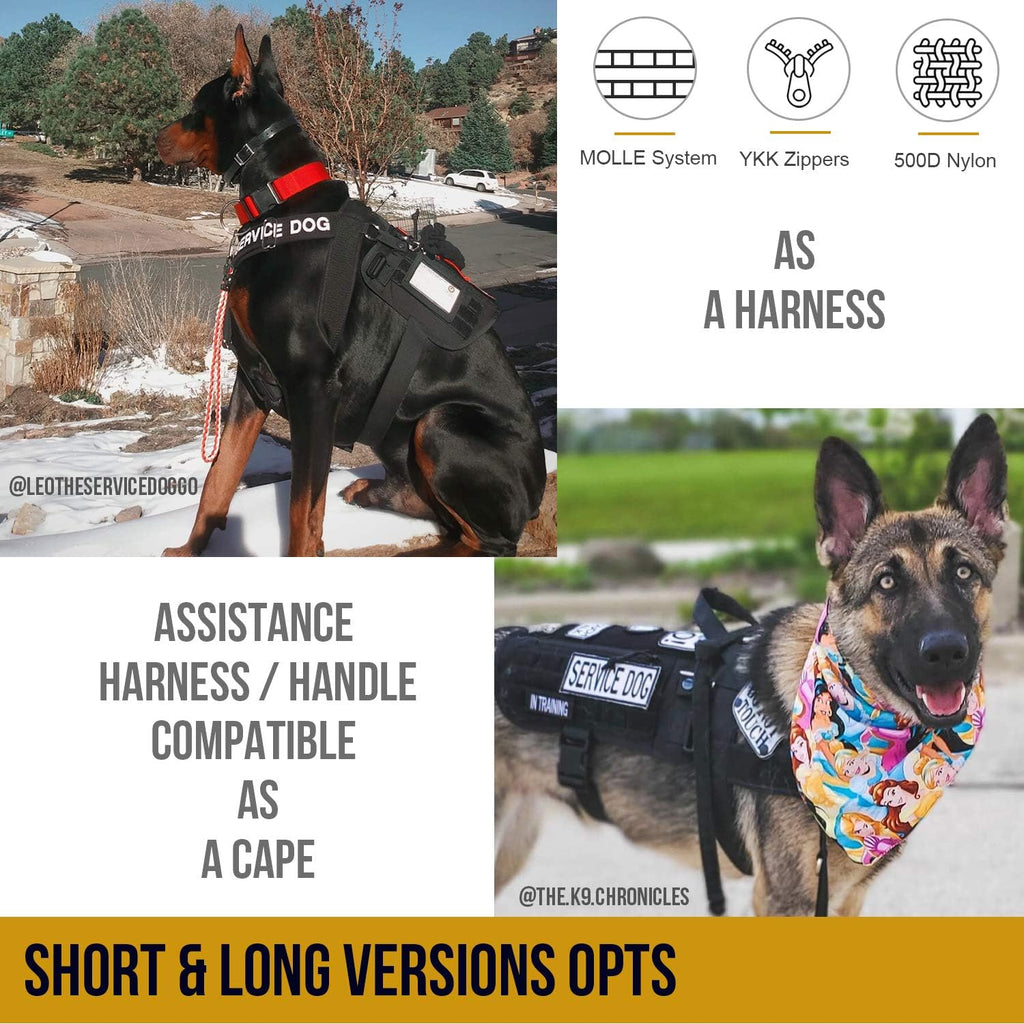 Adjustable No-Pull Service Dog Harness - Comfortable Vest for Medium Dogs - Black Outdoor Walking Gear