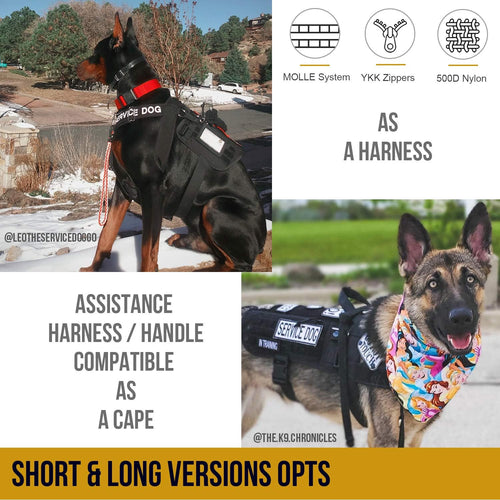 Adjustable No-Pull Service Dog Harness - Comfortable Vest for Medium Dogs - Black Outdoor Walking Gear