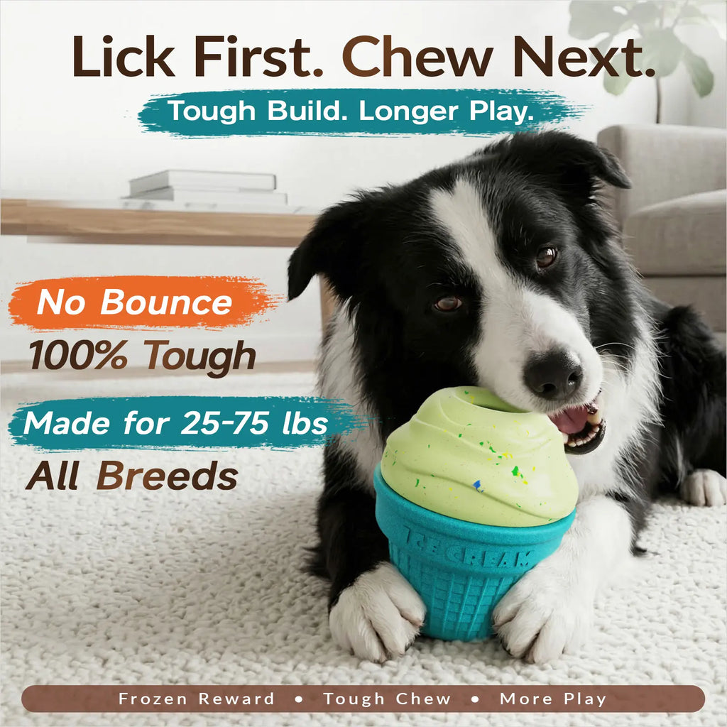 KADTC Large 3-in-1 Frozen Dog Treat Toy and Kibble Dispenser Ball for Durable Chewing