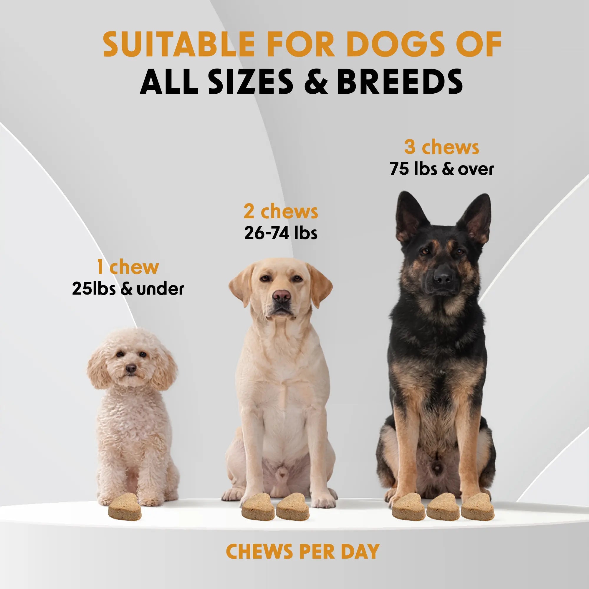 Pre-Pro-Postbiotic Chews for Dogs – Support for Gas, Bloating, and Digestive Health | Dr. WOOW Feeding