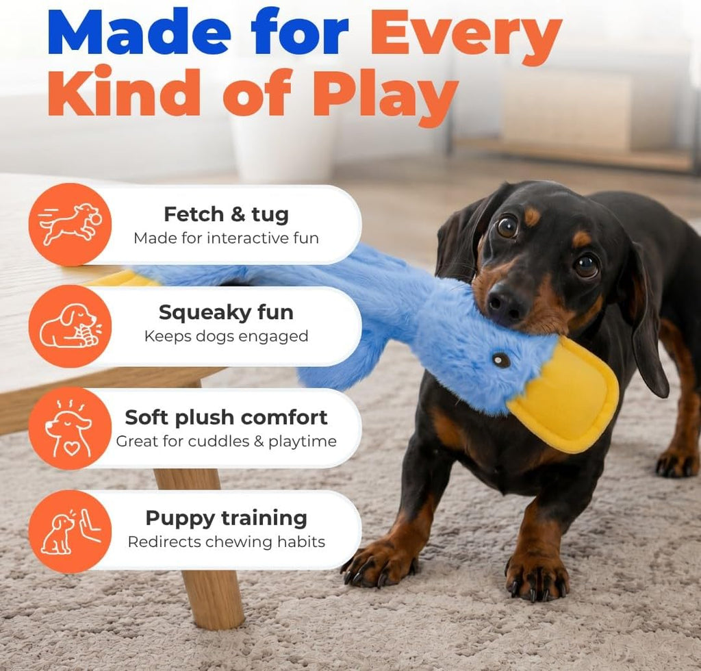 Interactive Squeaky Dog Chew Toy, Ideal Dog Toys for Chewers, Small, Medium & Large Dogs, and Fetch Lovers - Crinkle Duck (Blue), Large
