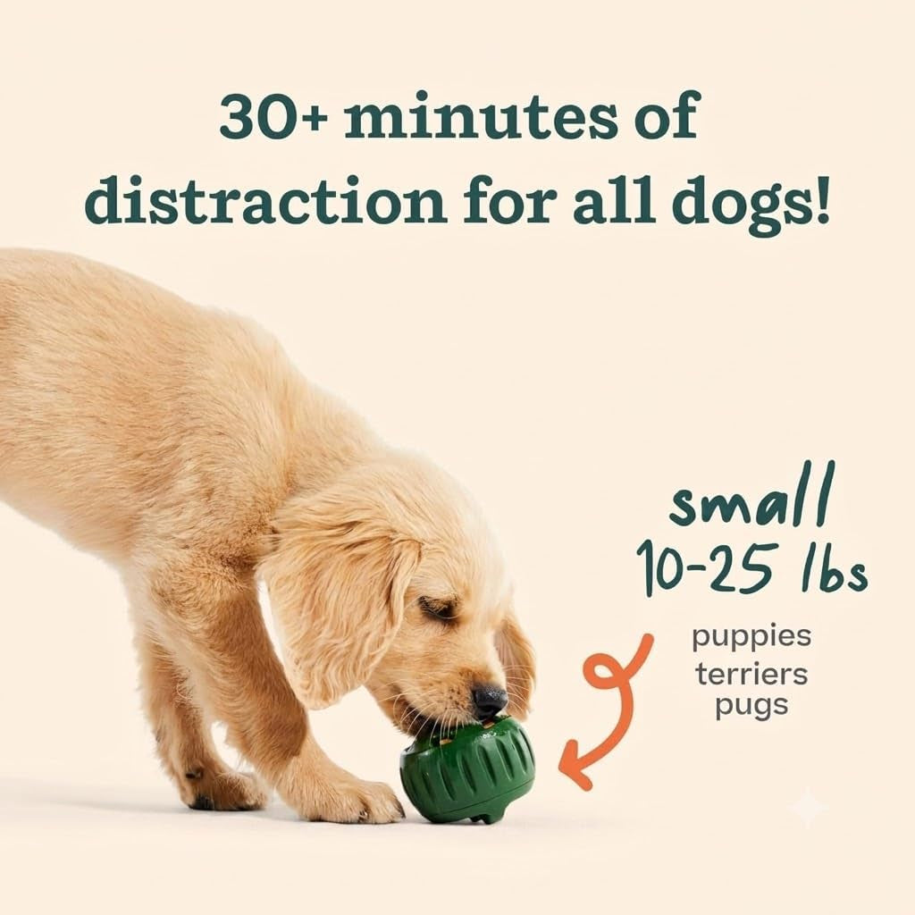 Starter Pack Dog Treat Toy for Small Dogs 10-25 Lbs | Long-Lasting Enrichment Kit, Pupsicle Toy Included, Reusable Treat Mold, Chicken Pops, DIY Frozen Treats
