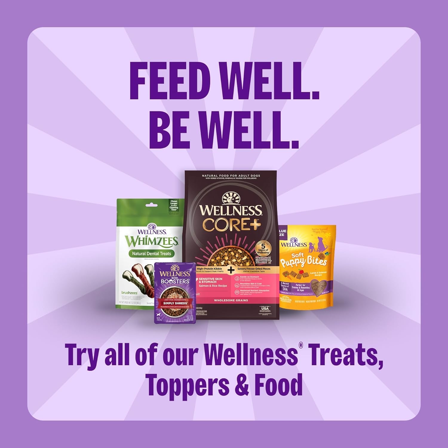 Wellness Classic P-Nuttier Dog Biscuits - Natural Peanut Butter Training Treats, Large Size, 6 lb Box