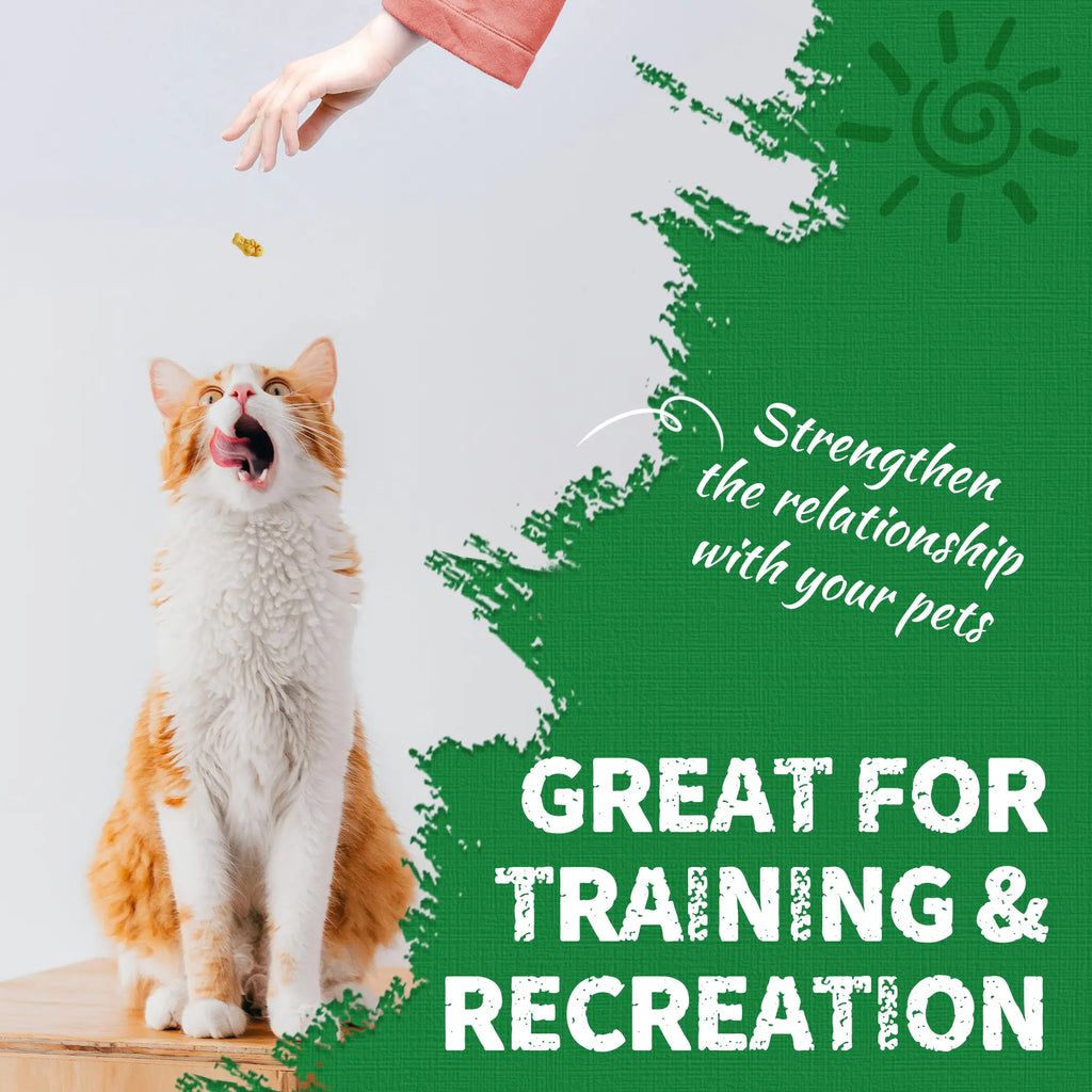 Cat Treats for Indoor Cats - Natural Salmon Hairball Control Biscuits with Cat Grass and Catnip for Dental Care - 14.1 OZ