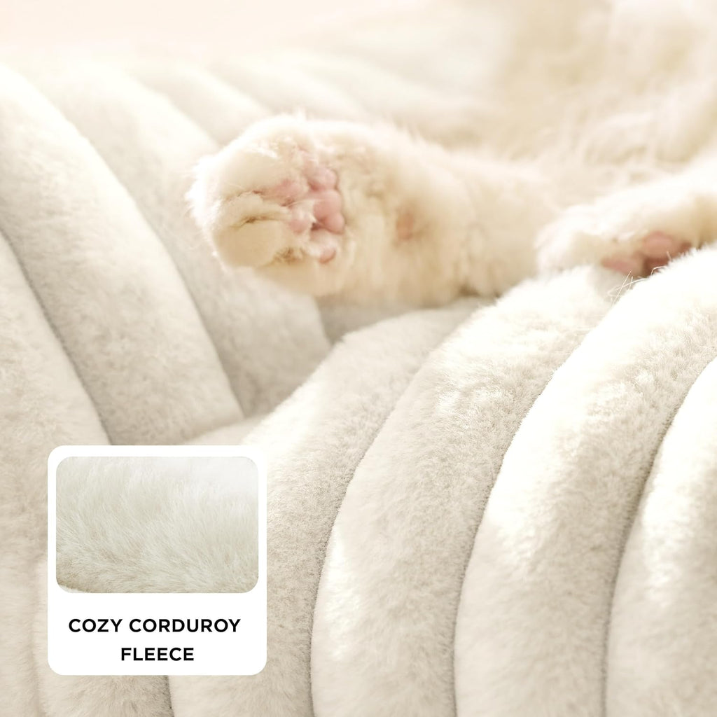 Bedsure Comfyfleece™ Shown on TV Fluffy Cute Cat Couch for Pets,24In Cream | Cat Beds for Indoor Cats,Supportive Pet Sofa,Dog Couch Bed Seen on Good Day New York,Removable Washable Cover,Up to 10 Lbs