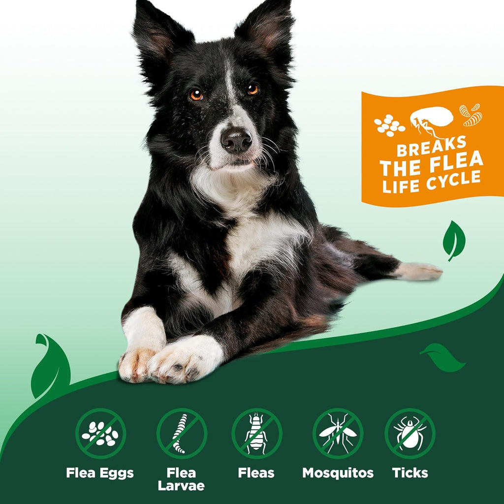 Indoor Flea & Tick Home Spray for Dogs, Plant-Based Spray, 32 Oz | Plant-Based Flea & Tick Spray, Kills Fleas, Eggs & Ticks on Contact, Natural Oils, for Indoor Home Use, Made in USA